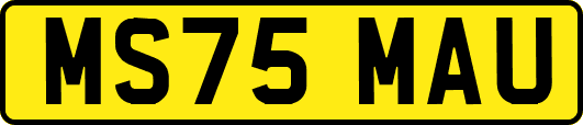 MS75MAU