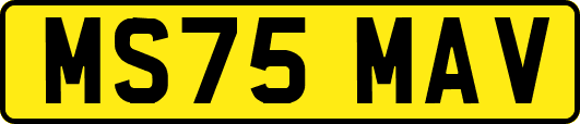 MS75MAV