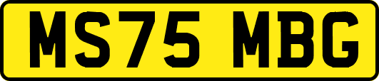 MS75MBG