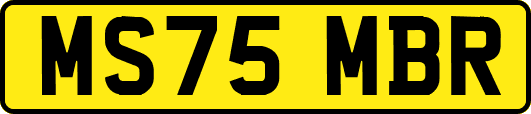 MS75MBR