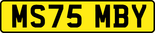 MS75MBY