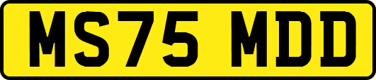 MS75MDD