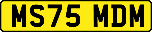 MS75MDM