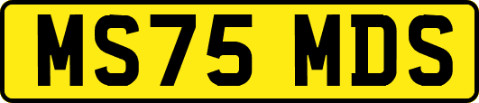 MS75MDS