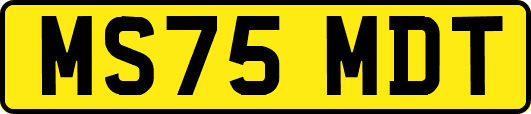 MS75MDT