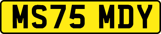 MS75MDY