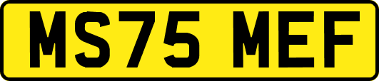 MS75MEF