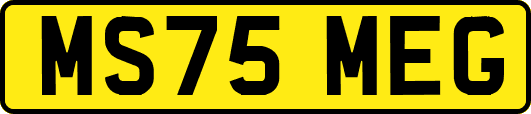 MS75MEG
