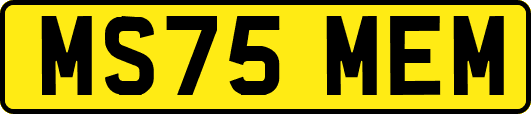 MS75MEM