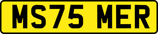 MS75MER