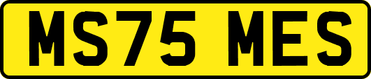 MS75MES