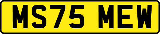 MS75MEW