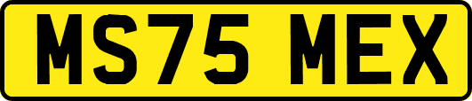 MS75MEX