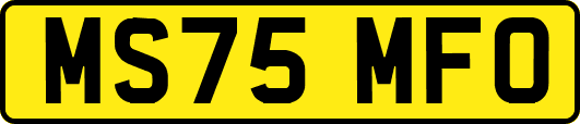 MS75MFO