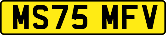 MS75MFV