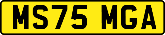 MS75MGA