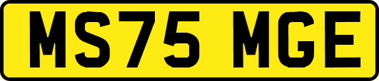 MS75MGE