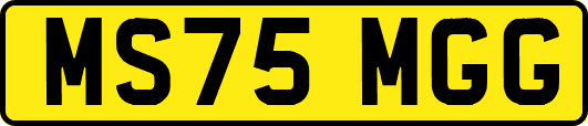 MS75MGG