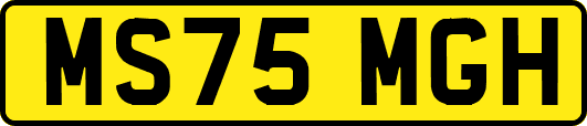 MS75MGH
