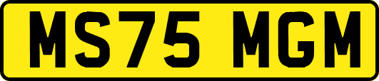 MS75MGM