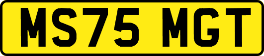 MS75MGT