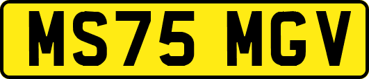 MS75MGV
