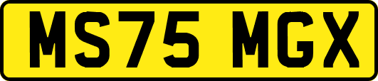 MS75MGX