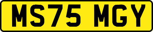 MS75MGY
