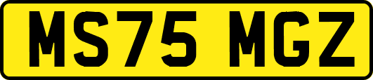 MS75MGZ