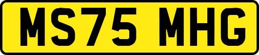 MS75MHG