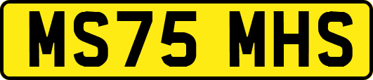 MS75MHS