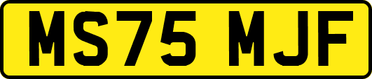 MS75MJF