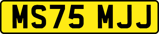 MS75MJJ