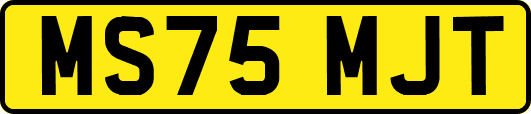 MS75MJT
