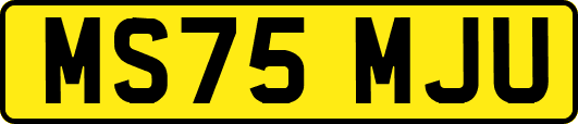 MS75MJU