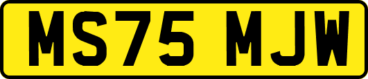 MS75MJW