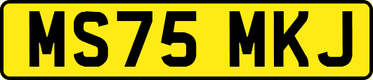 MS75MKJ