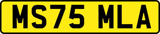 MS75MLA