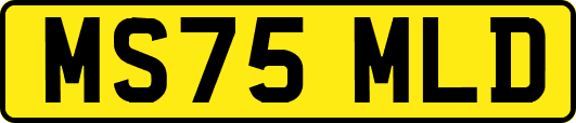 MS75MLD