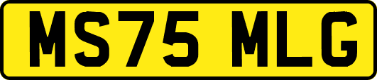 MS75MLG