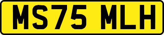 MS75MLH