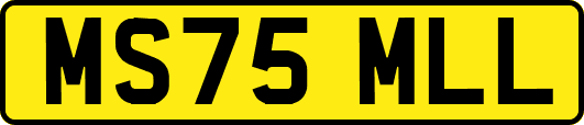 MS75MLL