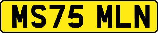 MS75MLN