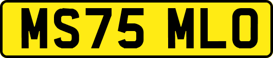 MS75MLO