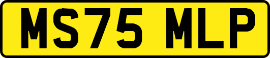 MS75MLP