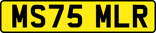MS75MLR