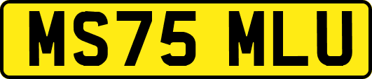 MS75MLU
