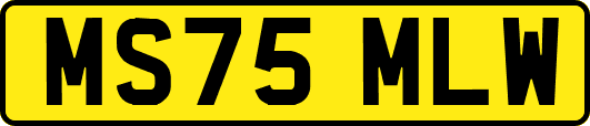 MS75MLW