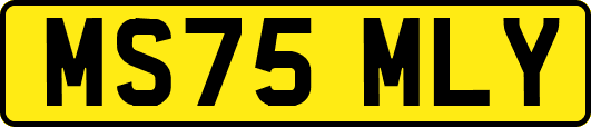 MS75MLY