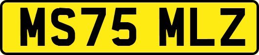 MS75MLZ